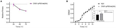 Persistence of plasmid and tet(X4) in an Escherichia coli isolate coharboring blaNDM-5 and mcr-1 after acquiring an IncFII tet(X4)-positive plasmid